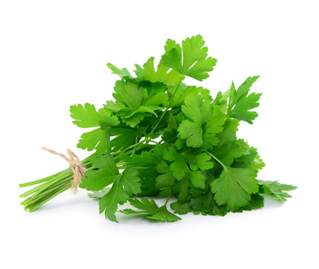 Pietruszka Natka 1szt!!! Polska